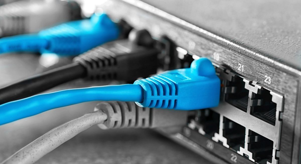 Ethernet cables connected to network switch, close up